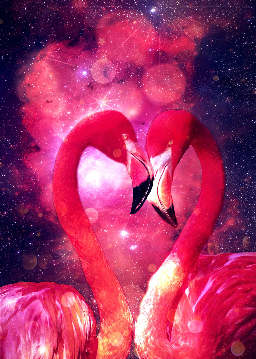'Flamingo explosion' Poster, picture, metal print, paint by charlotte ...