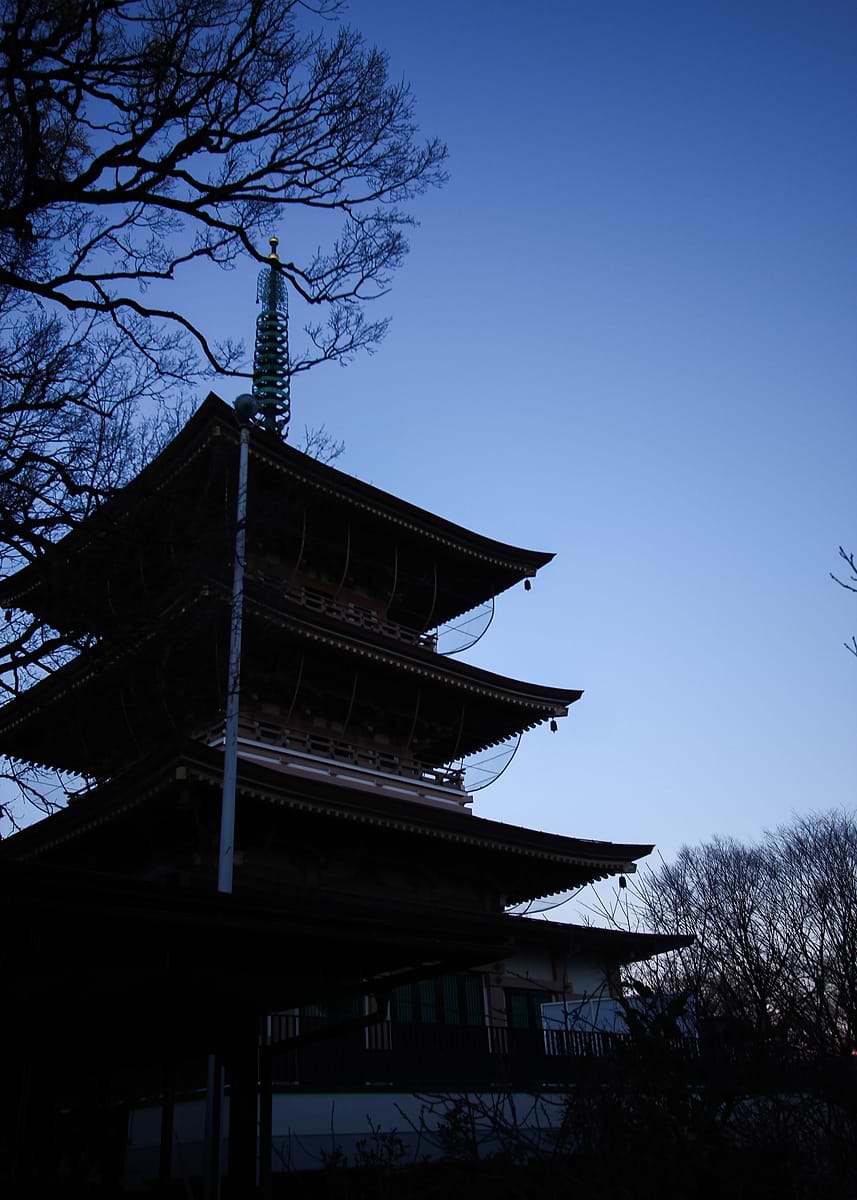 Toji Tample 'Toji Temple' Poster, picture, metal print, paint by Noa Wraith | Displate