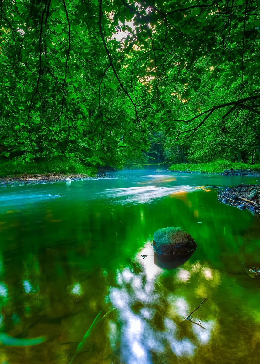 'Beautiful Wild River In Su' Poster, picture, metal print, paint by ...