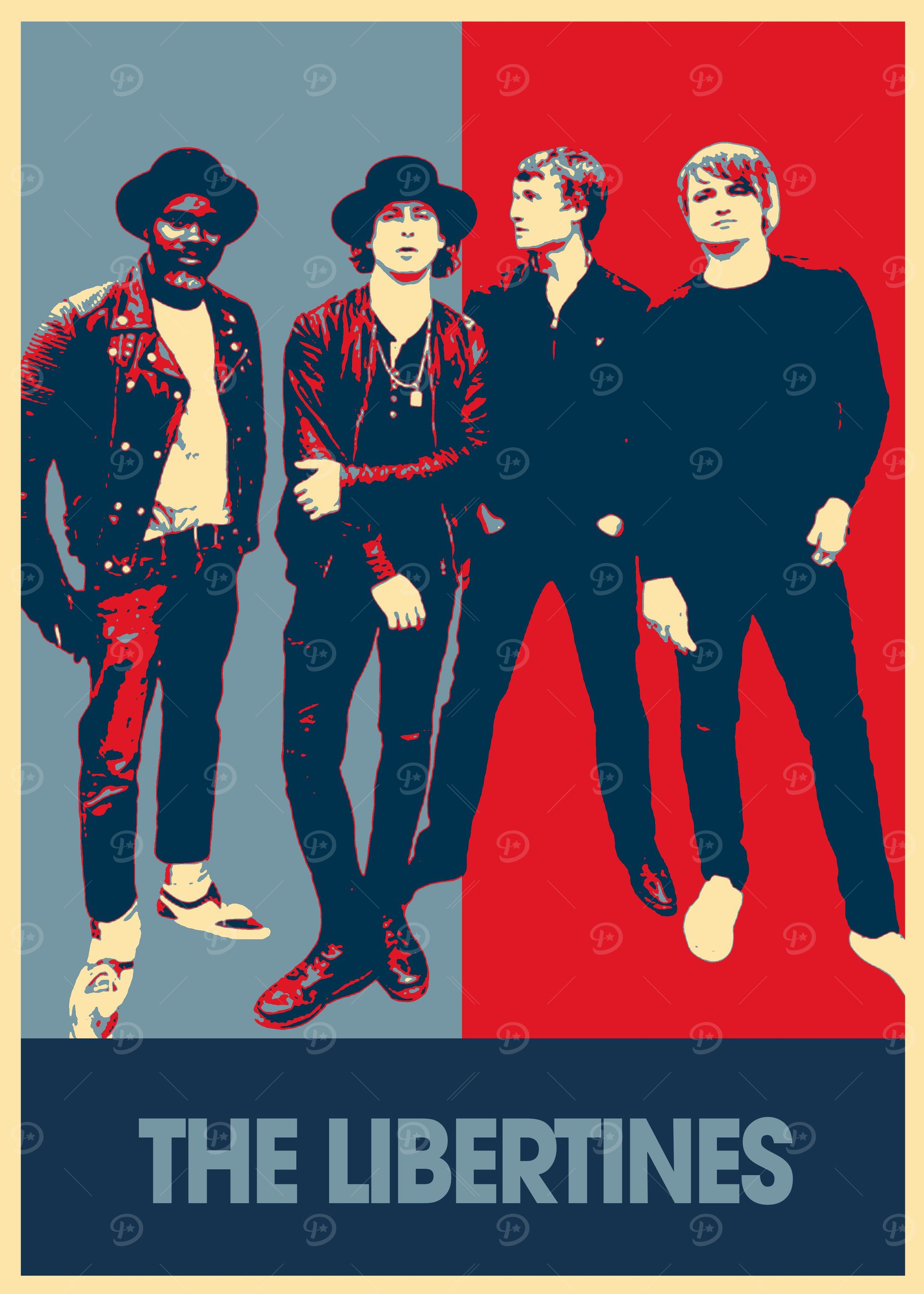 The Libertines' Poster, picture, metal print, paint by Cantrell