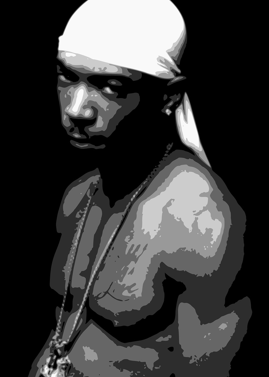 Ja Rule Poster, Picture & Metal Print – Rap | Displate