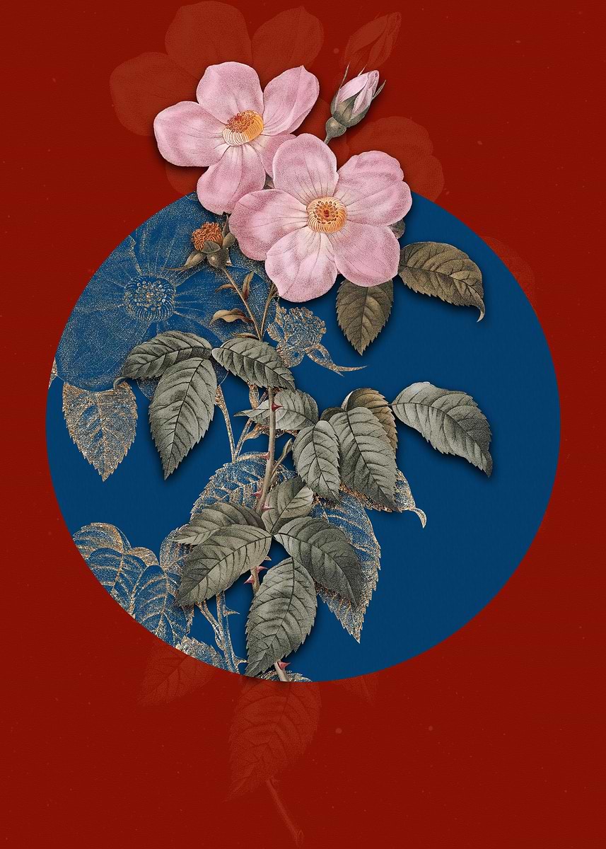 'Tea Scented Roses Bloom' Poster, picture, metal print, paint by Holy ...