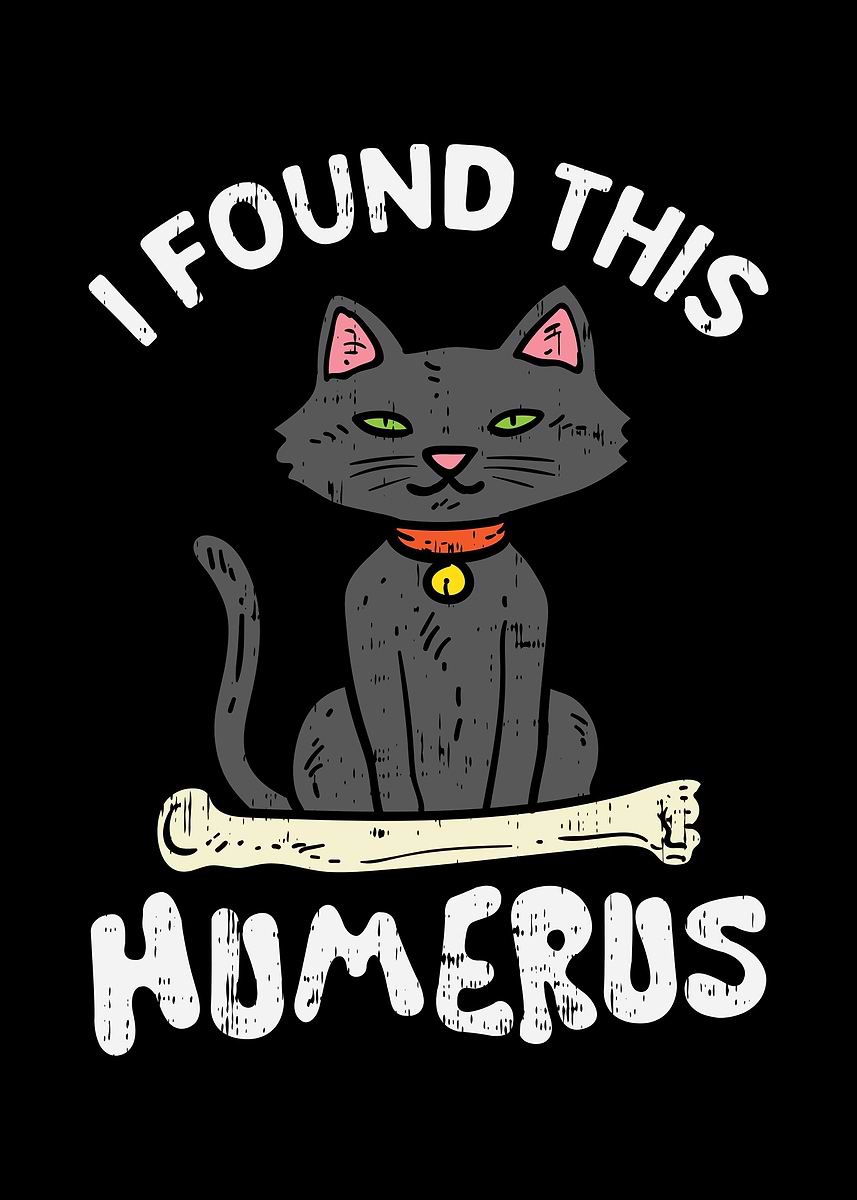 Found This Humerus Cat' Poster, picture, metal print, paint by