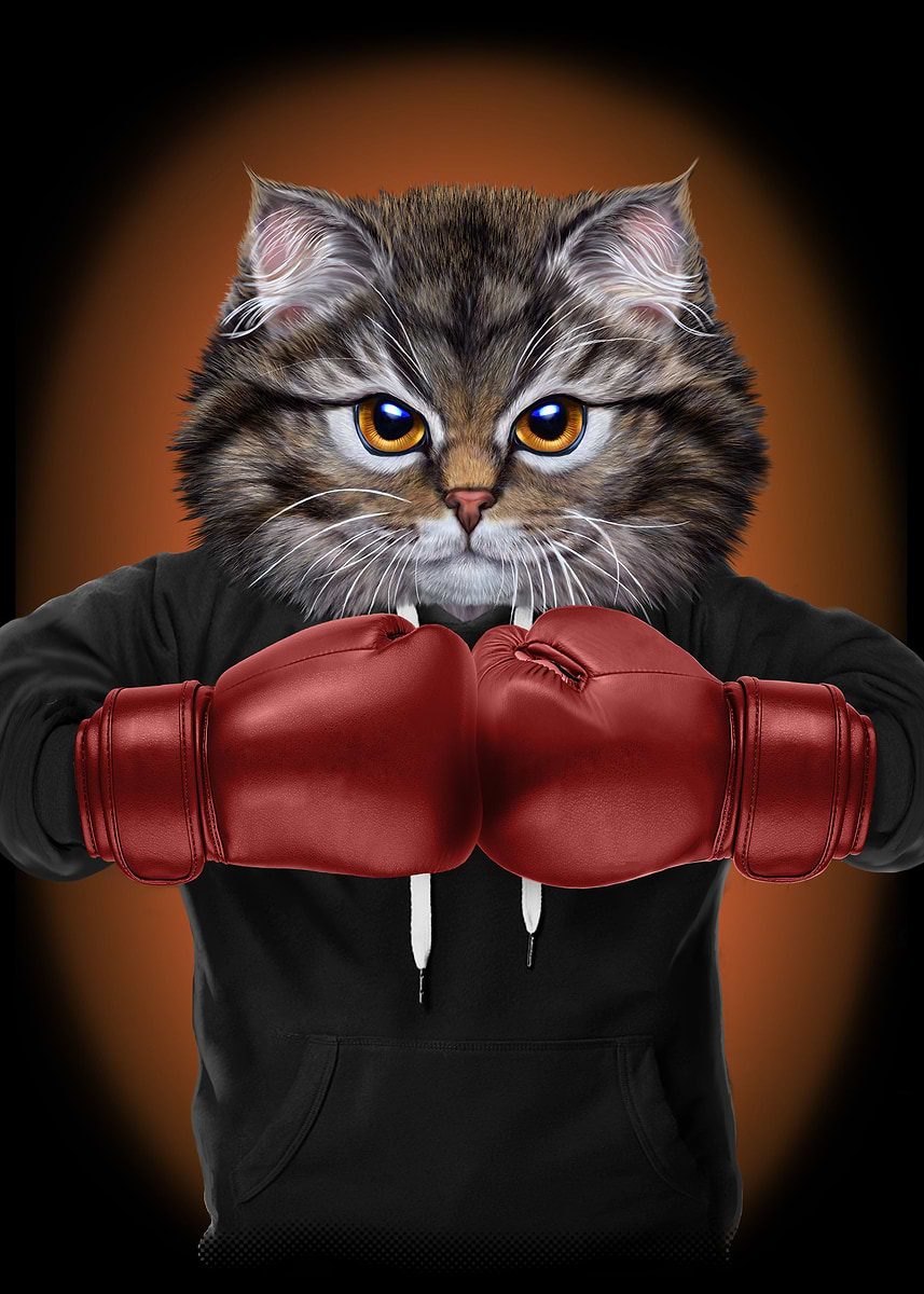 'Boxer Cat Boxing Champion' Poster, picture, metal print, paint by Jeff ...