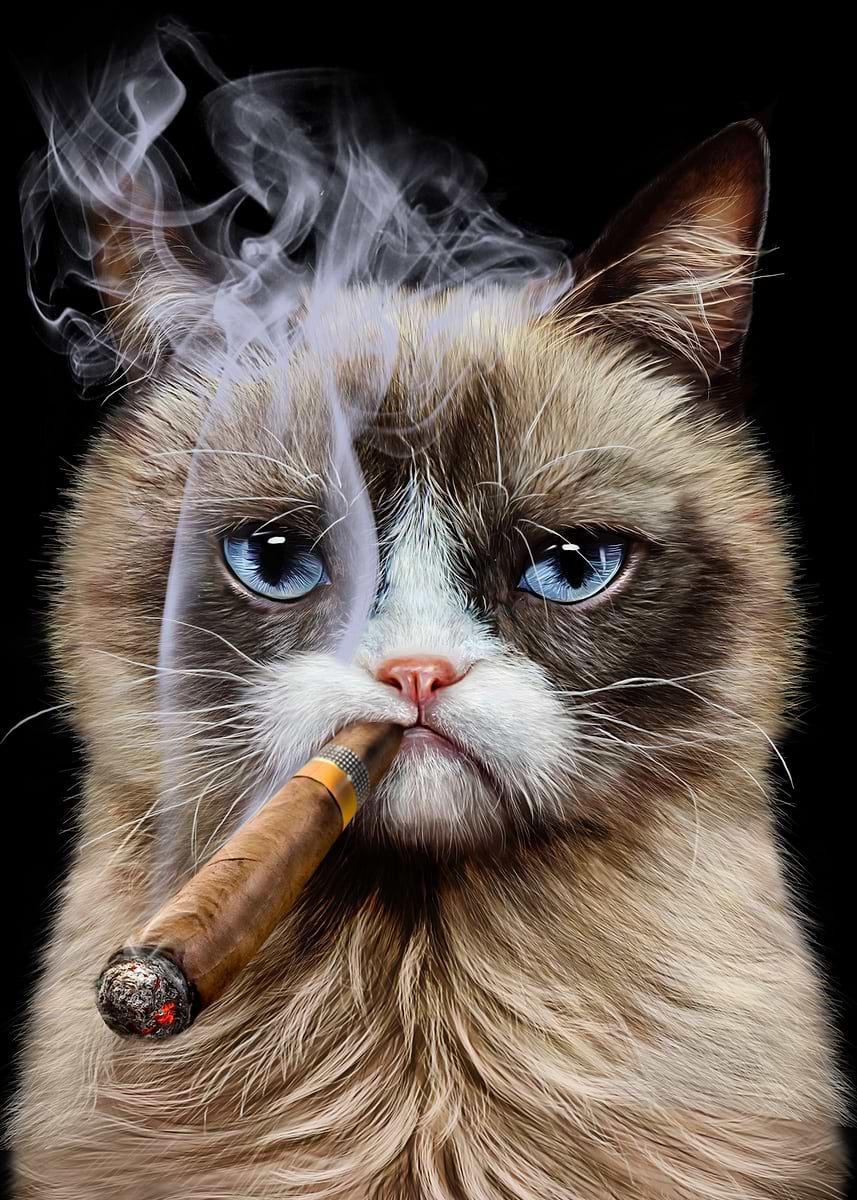 cigarette smoke odor removal cost in europe Get the Stink Out: Odor Removal Cost Guide