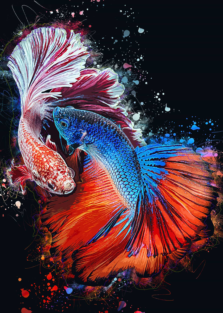 Two Fish Beta Ink 'Two Betta Fish' Poster, picture, metal print, paint by Blackman Studio ...