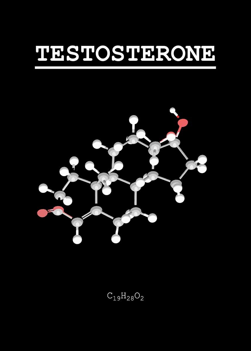 'Testosterone' Poster, picture, metal print, paint by ChemECool | Displate