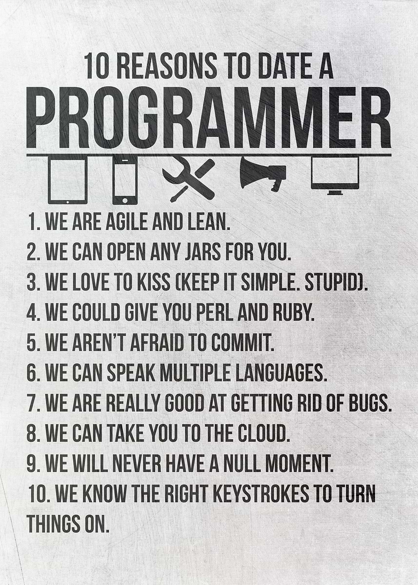 'Reasons To Date A Coder' Poster, picture, metal print, paint by ...