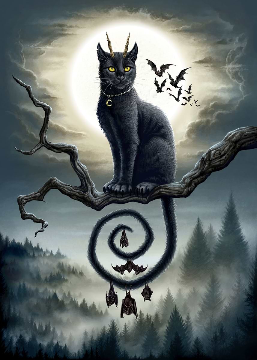 96b83b857ec9a8a4fa360455f58f50