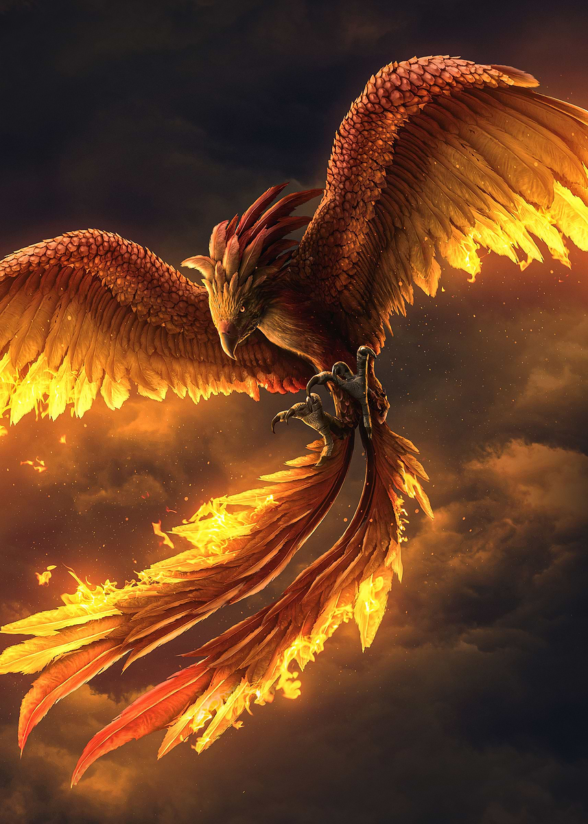Legend of the Phoenix' Poster, picture, metal print, paint by