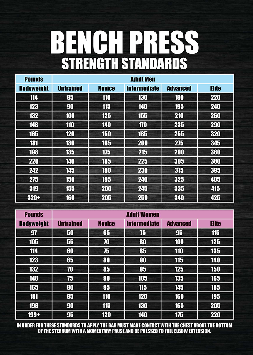 Press Standards Benching Body Weight Bench Press Standards' Poster