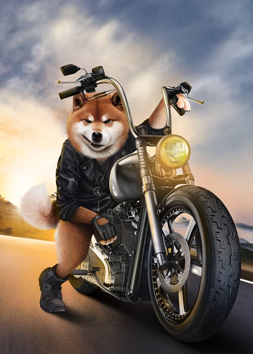 Shiba Dog on Motorcycle Poster, Picture & Metal Print – Dogs