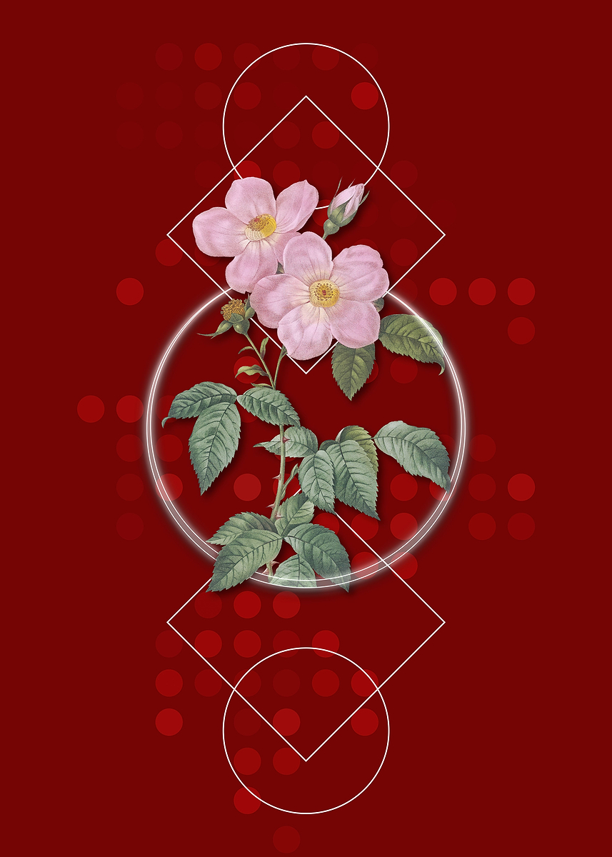 'Tea Scented Roses Bloom' Poster, picture, metal print, paint by Holy ...
