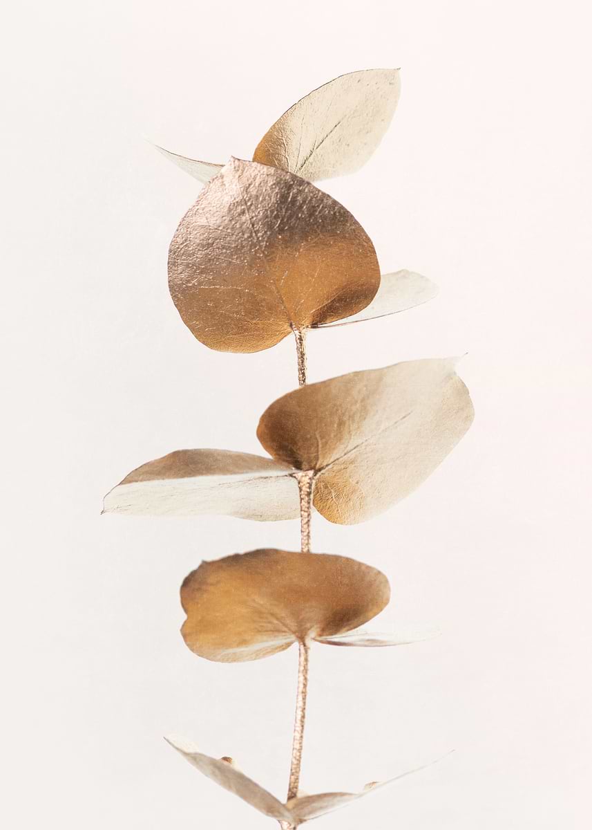 黄金の調和の木 DISPLATE メタリック ポスター ( #8833 ) 58acc61a83fc66db7214dac0172e8a