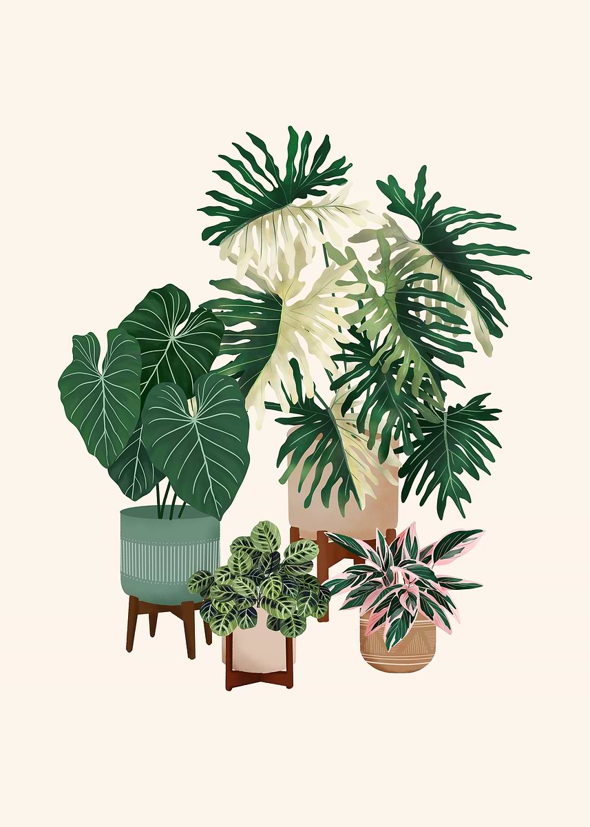 'House Plants 14' Poster, picture, metal print, paint by Gush Art ...