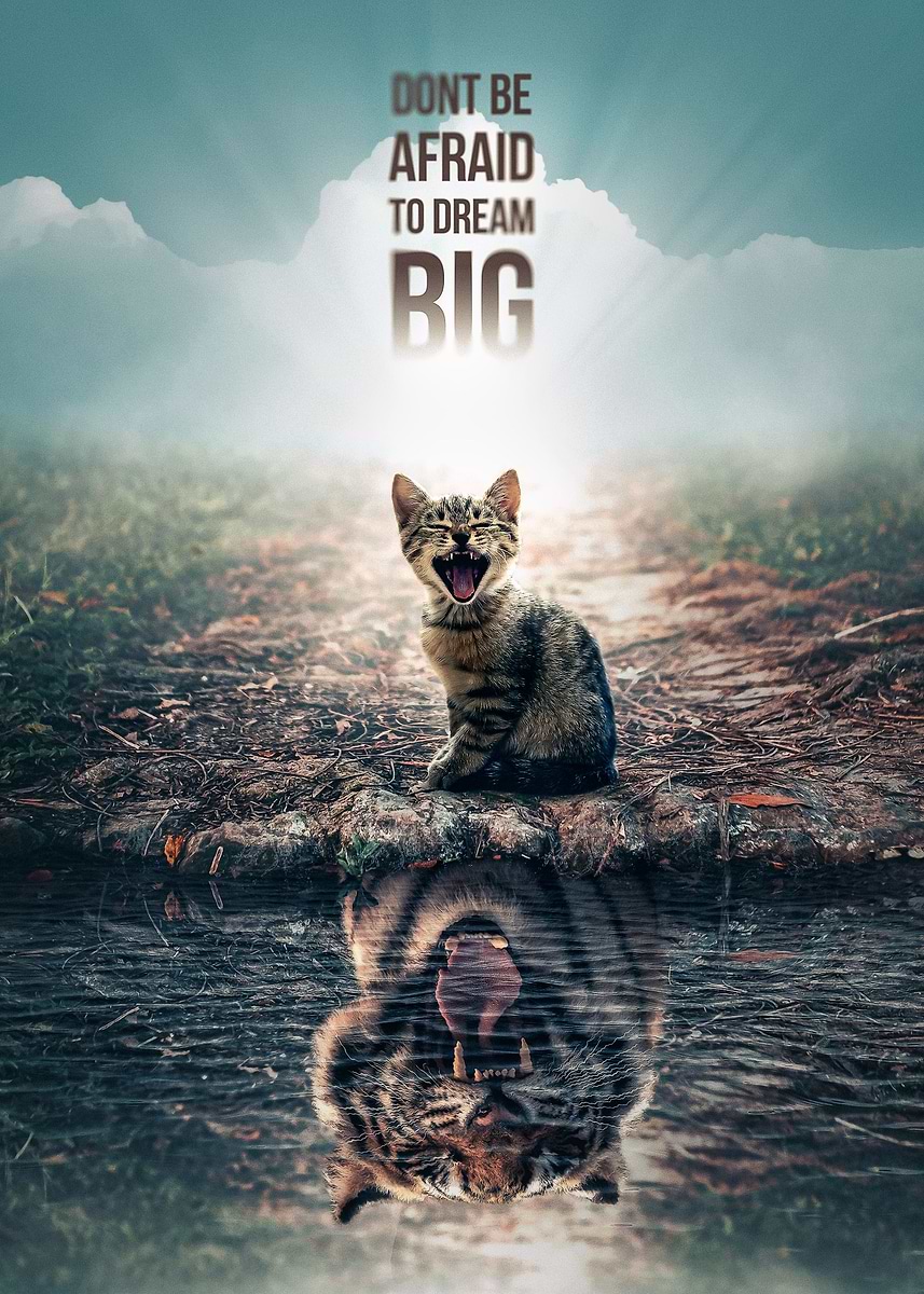 Dream Big' Poster, picture, metal print, paint by Adam Cousins