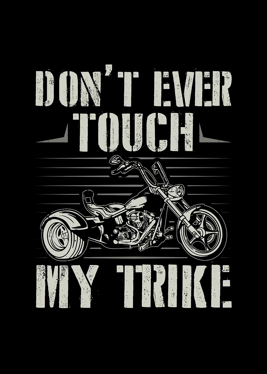 Triking Quote 'Trike Quotes Triker Gifts' Poster, picture, metal print, paint by TW ...