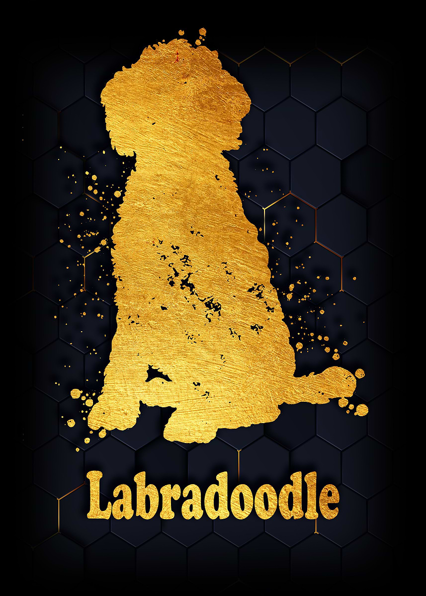 'Labradoodle' Poster, picture, metal print, paint by Denis Siggers ...