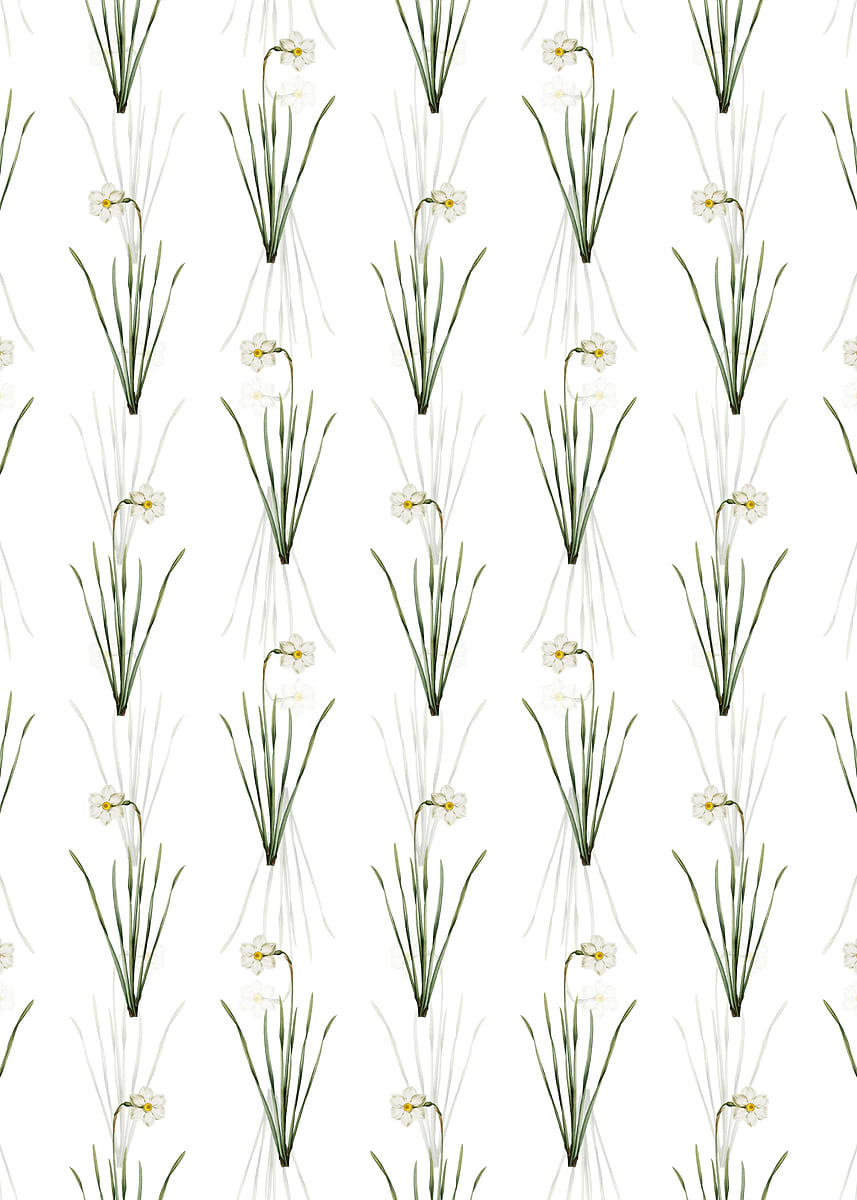'Narcissus Poeticus Pattern' Poster, picture, metal print, paint by ...