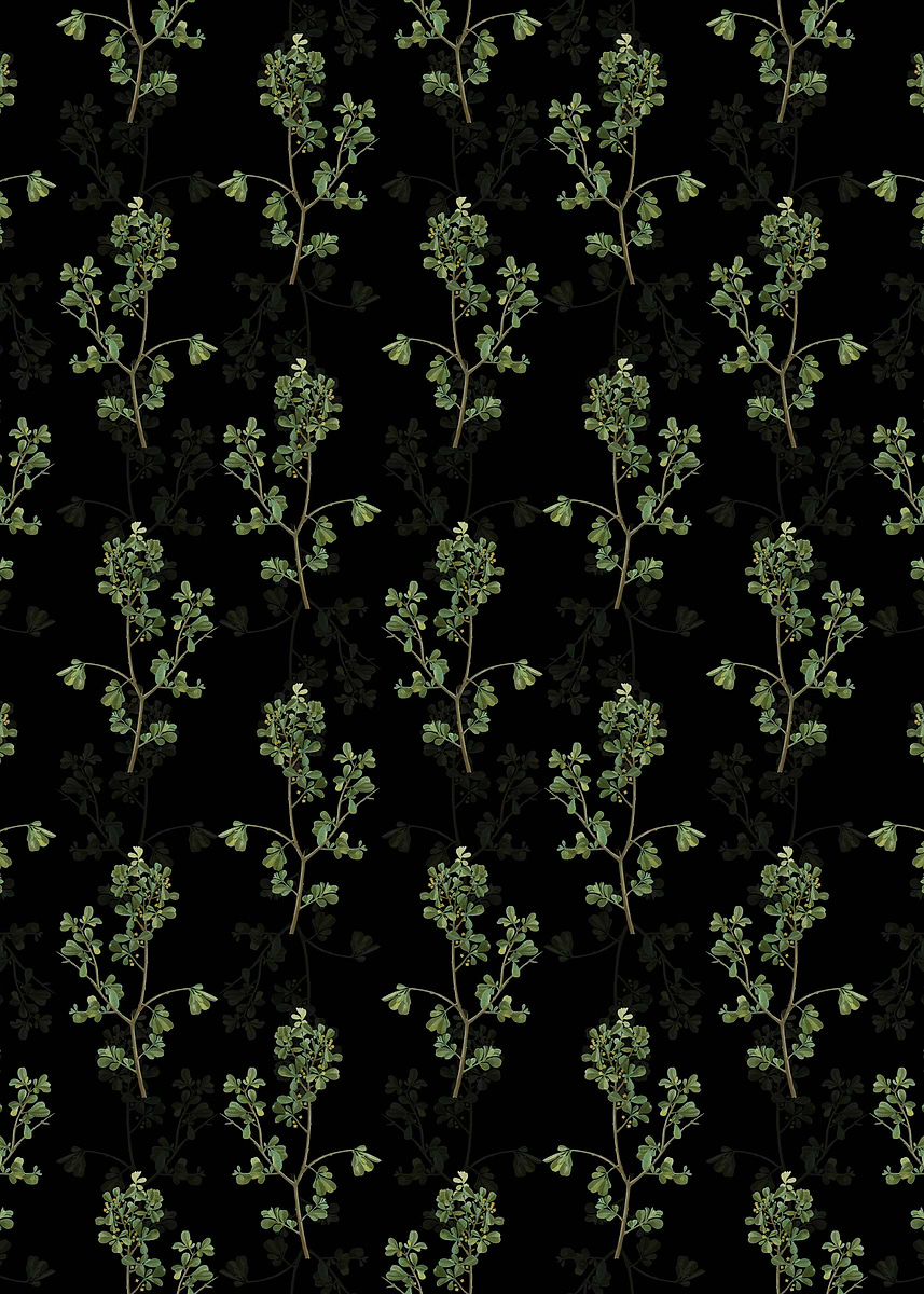 'European Buckthorn Pattern' Poster, picture, metal print, paint by ...