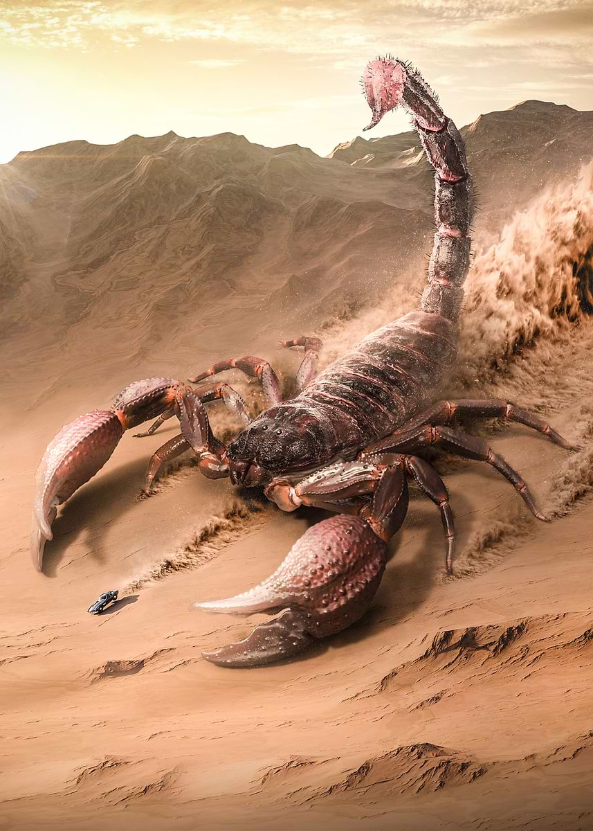 Giant Scorpion Chase' Poster, picture, metal print, paint by
