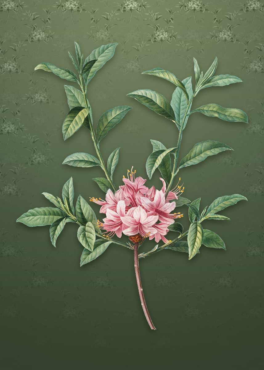 'Azalea on Lunar Green' Poster, picture, metal print, paint by Holy ...