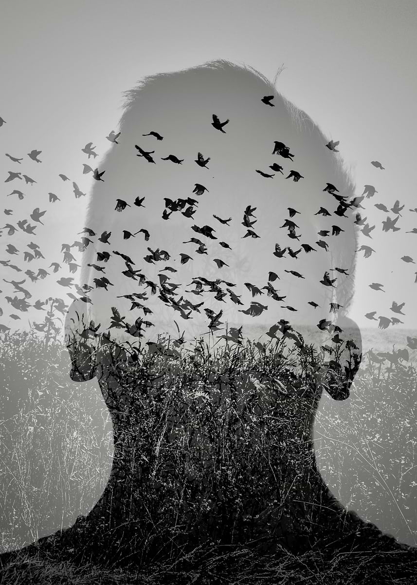 'Flying Mind' Poster, picture, metal print, paint by World Class Photos ...