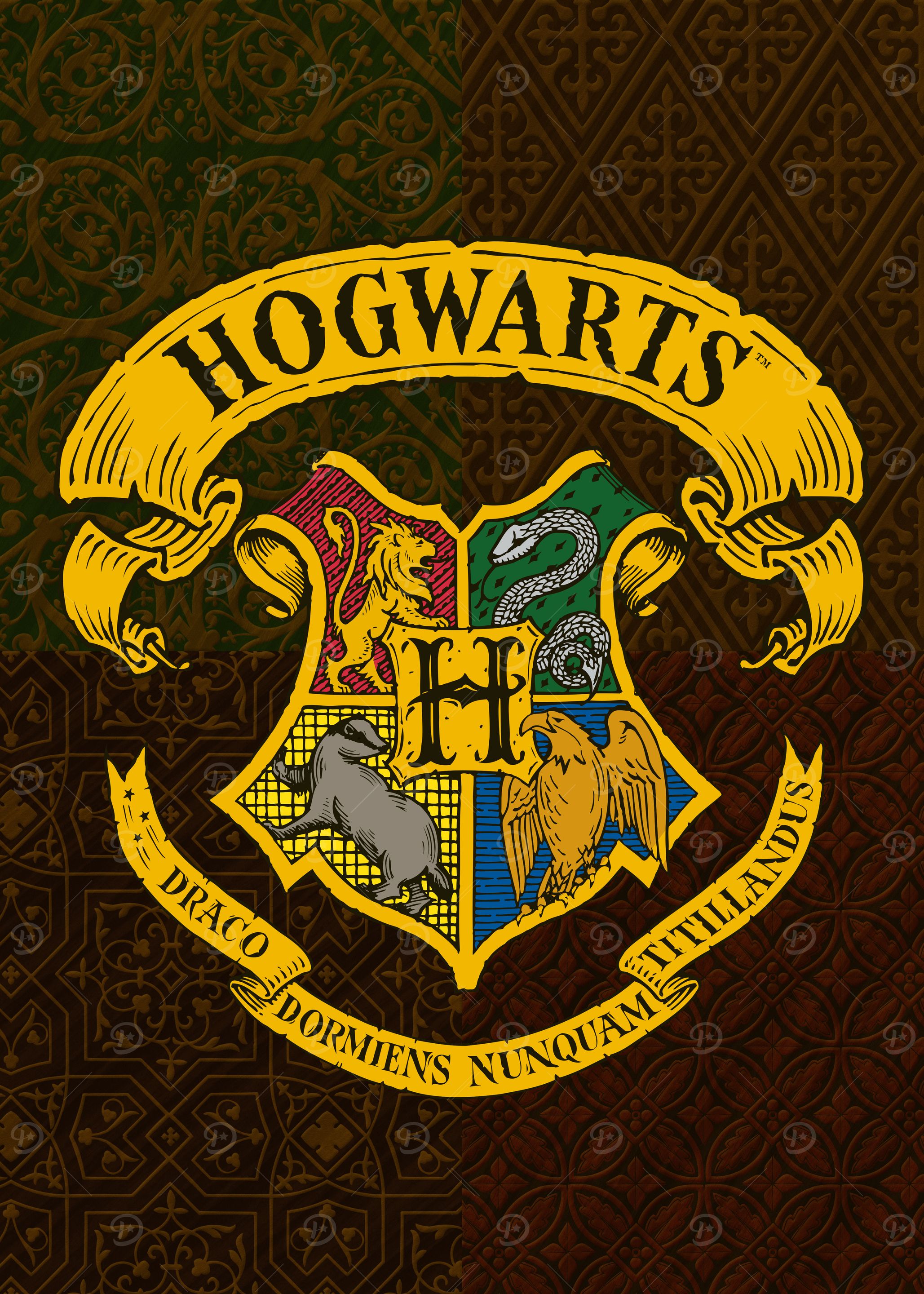 Displate ハリーポッター　ホグワーツ　メタルポスター Hogwarts boats' Poster, picture, metal print, paint by