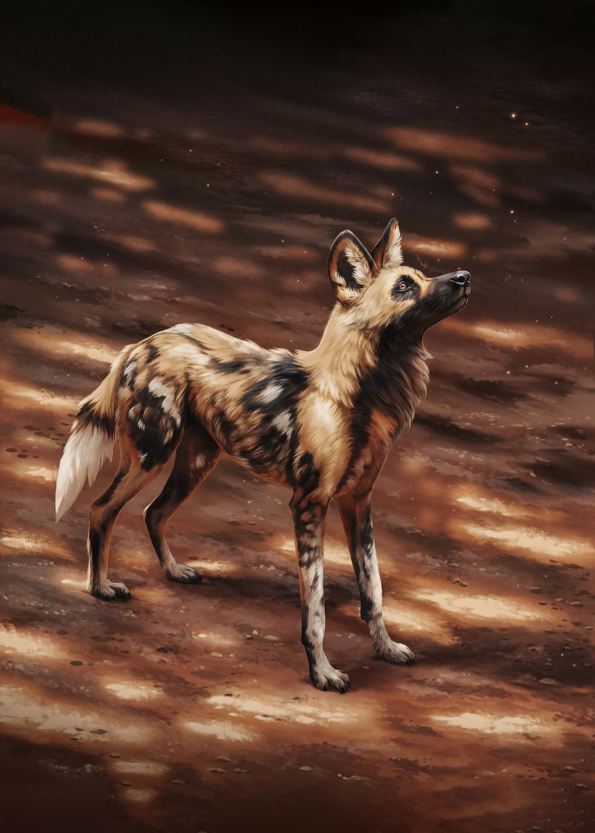 Dappled Wolves 'Dapples on Dapples' Poster, picture, metal print, paint by Nicole ...