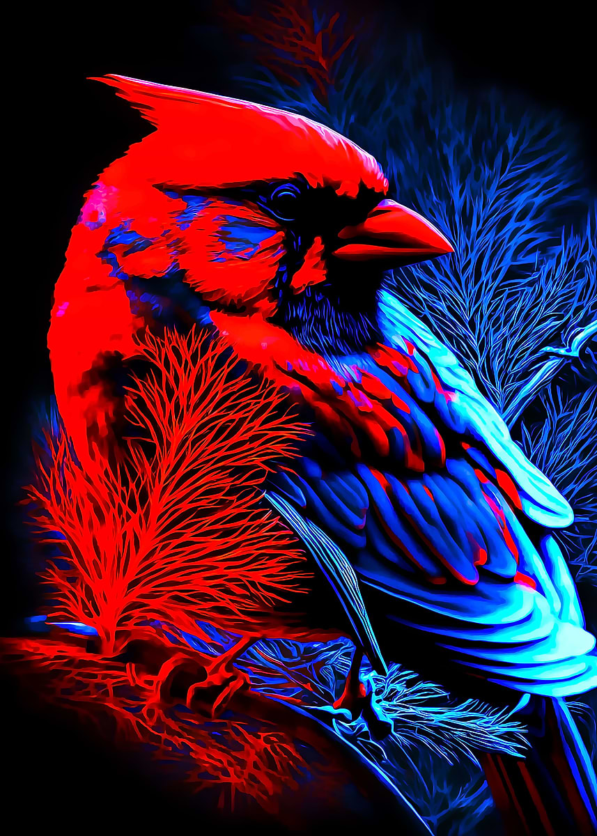 'Cardinal' Poster, picture, metal print, paint by minh doan | Displate