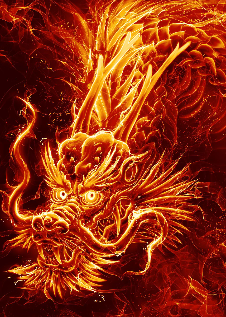 Japanese Dragon Fire' Poster, picture, metal print, paint by