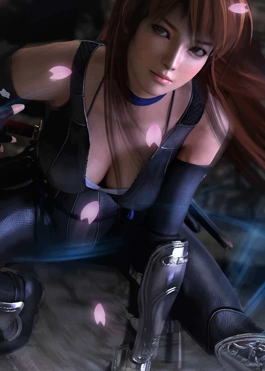 Kasumi Dead or Alive' Poster, picture, metal print, paint by Art