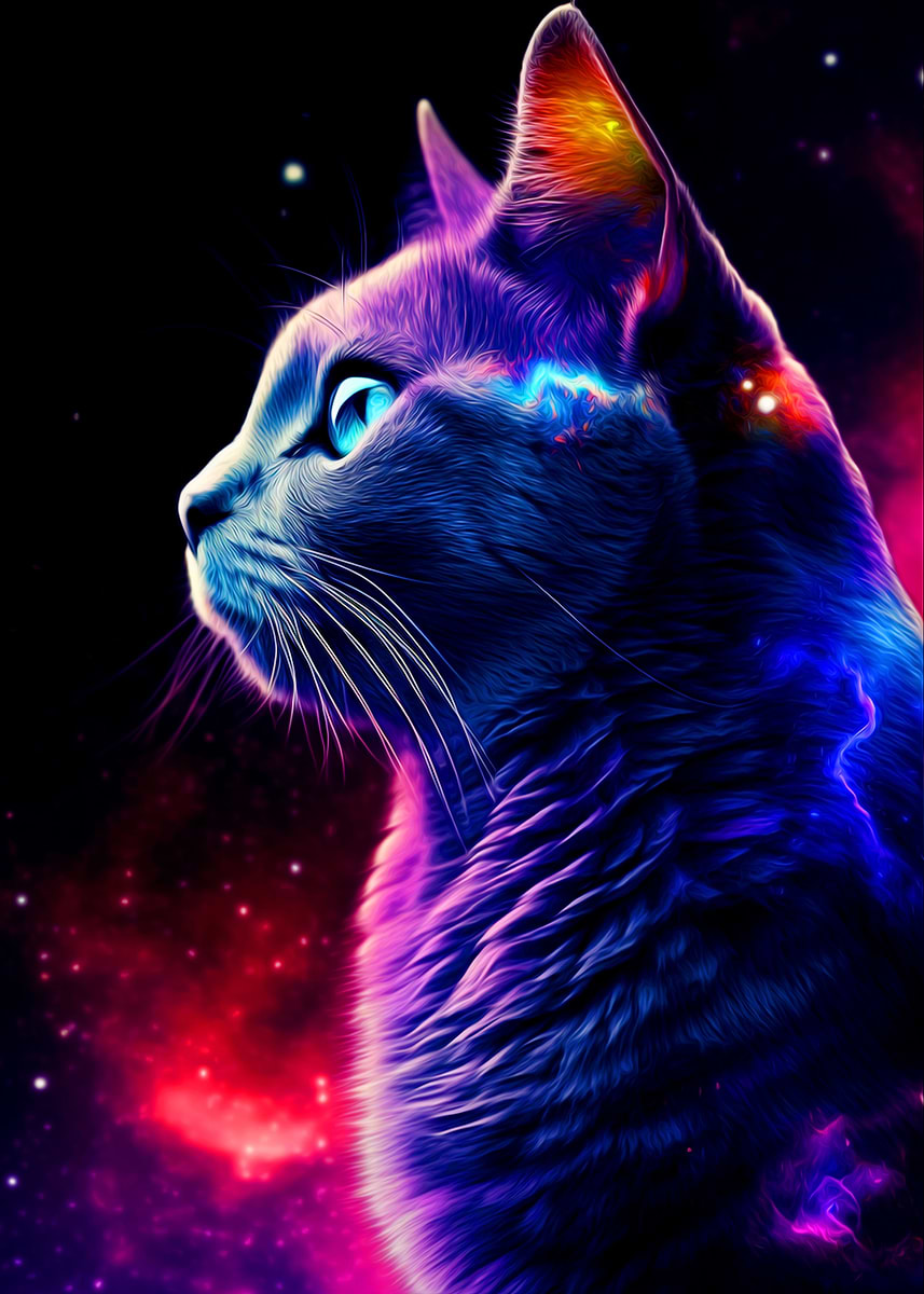 Cat' Poster, picture, metal print, paint by Tiker Arts | Displate