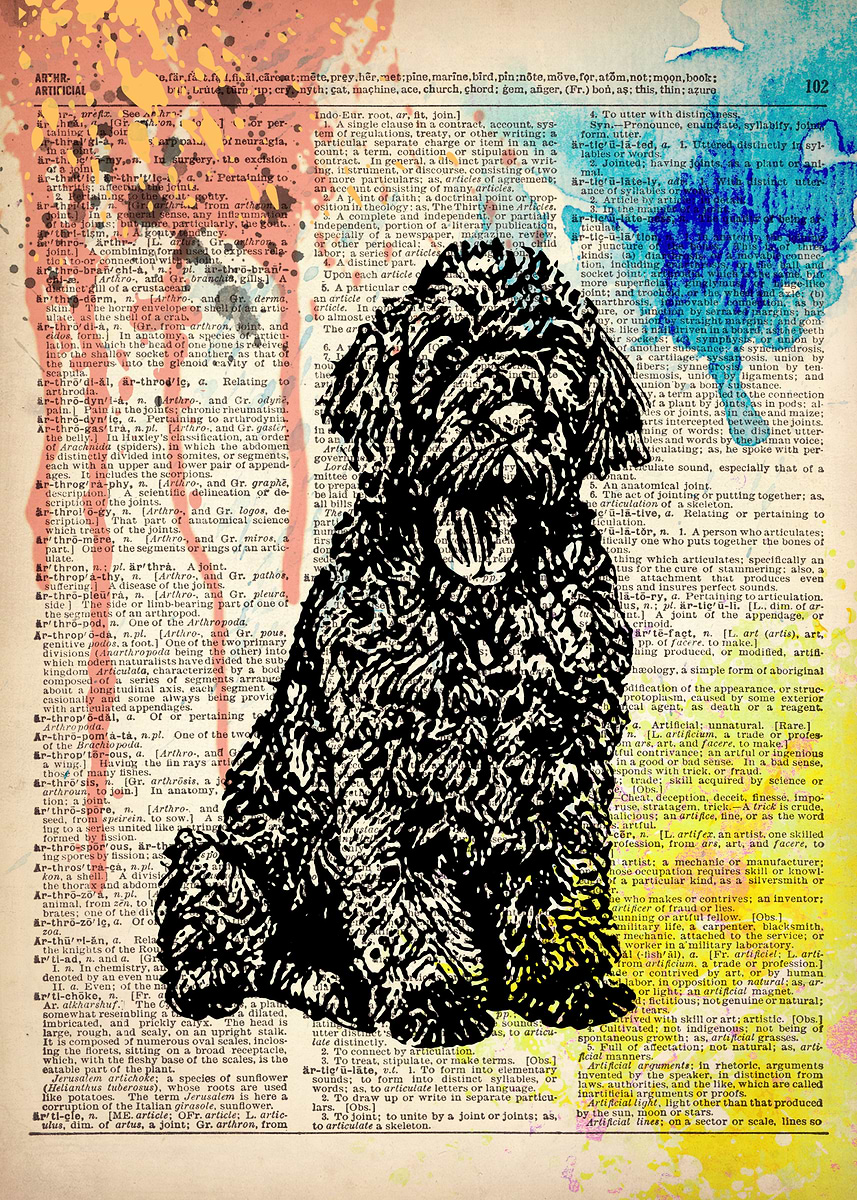 'Labradoodle dog art' Poster, picture, metal print, paint by Art popop ...