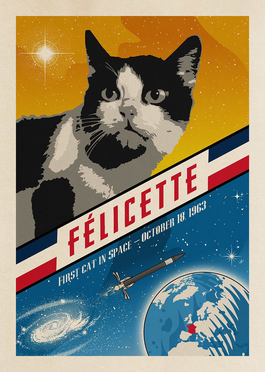 Felicette Cat in space' Poster, picture, metal print, paint by