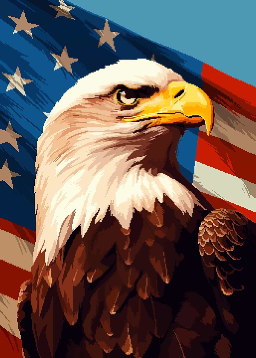 USA Retro Eagle Pixel Art' Poster, picture, metal print, paint by