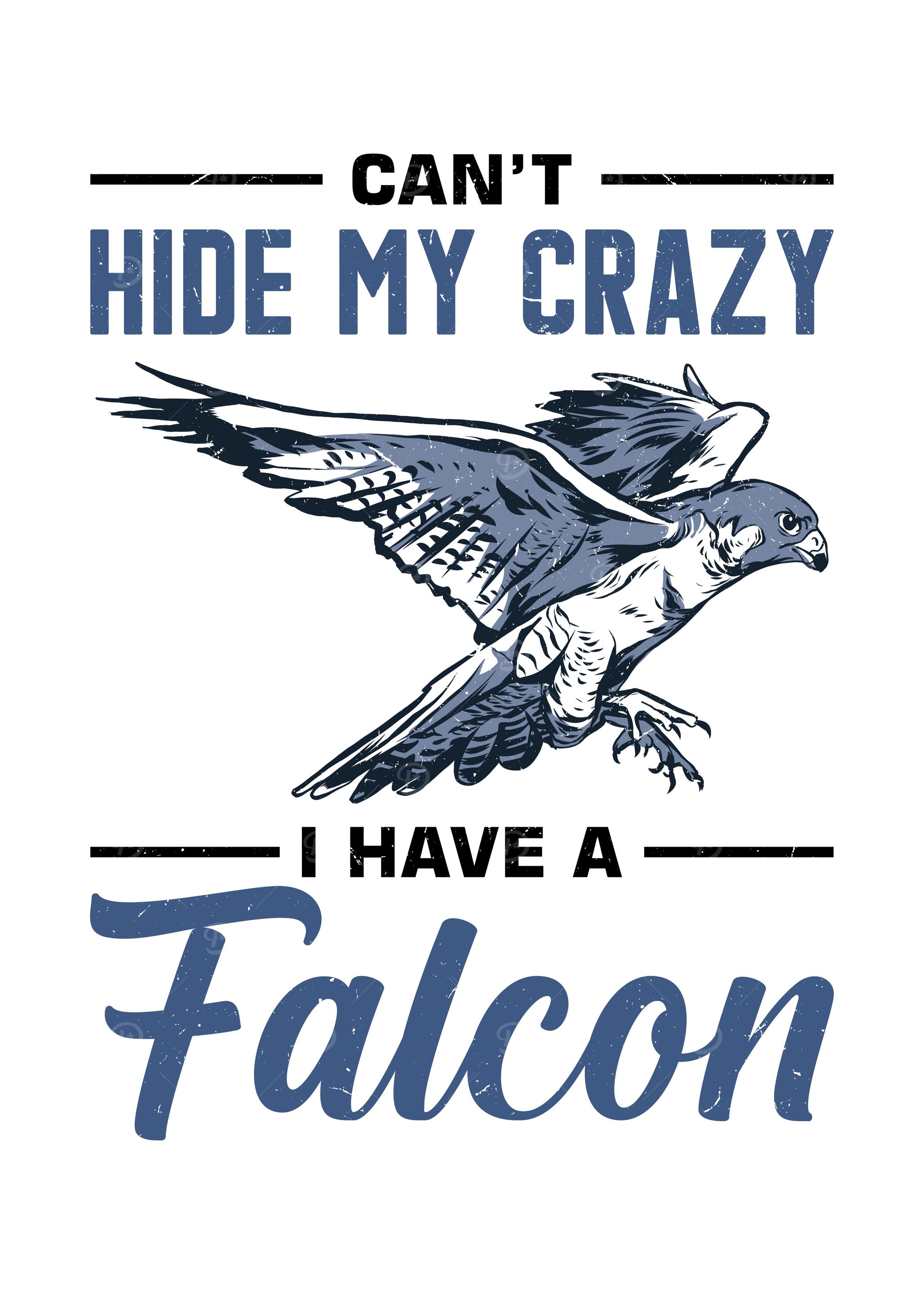 'Falcon Training Hawk Eagle' Poster, picture, metal print, paint by ...