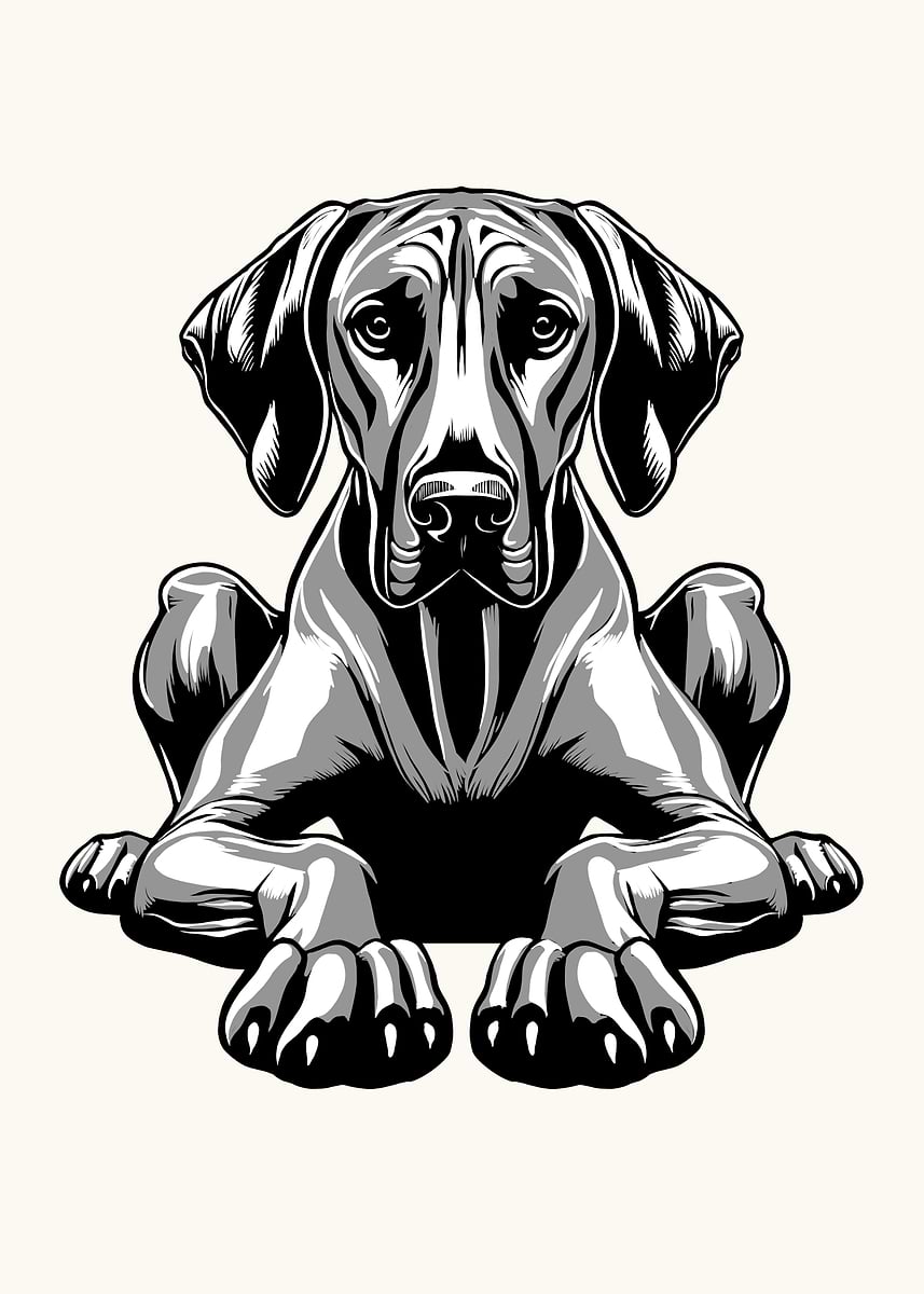 'Rhodesian Ridgeback' Poster, picture, metal print, paint by ...