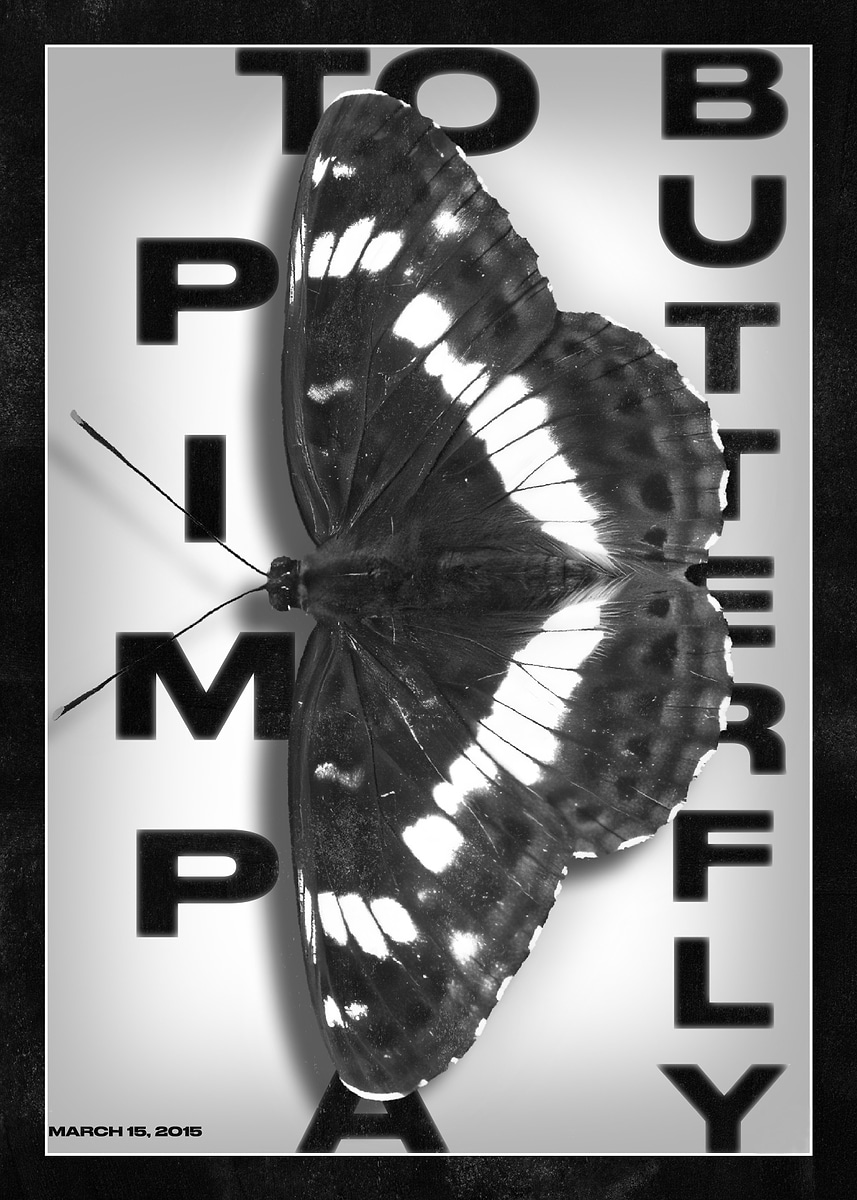 To Pimp A Butterfly Kendrick Lamar' Poster, picture, metal print