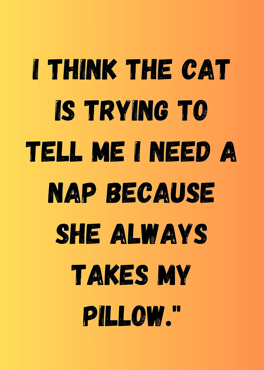 Cat Nap Quote Poster Picture Metal Print Paint By Sara Art Displate