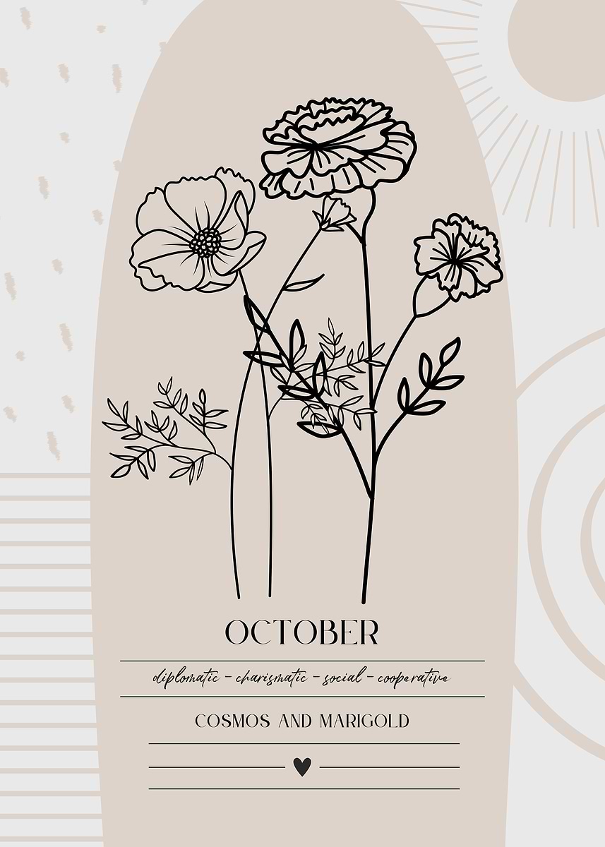 Black & White Cosmos Tattoo for October Birth Flower Enthusiasts