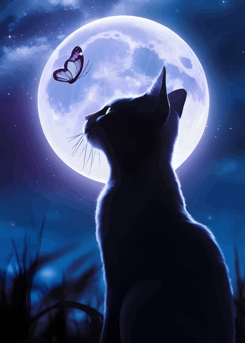 Black Cat Under Moonlight' Poster, picture, metal print, paint by