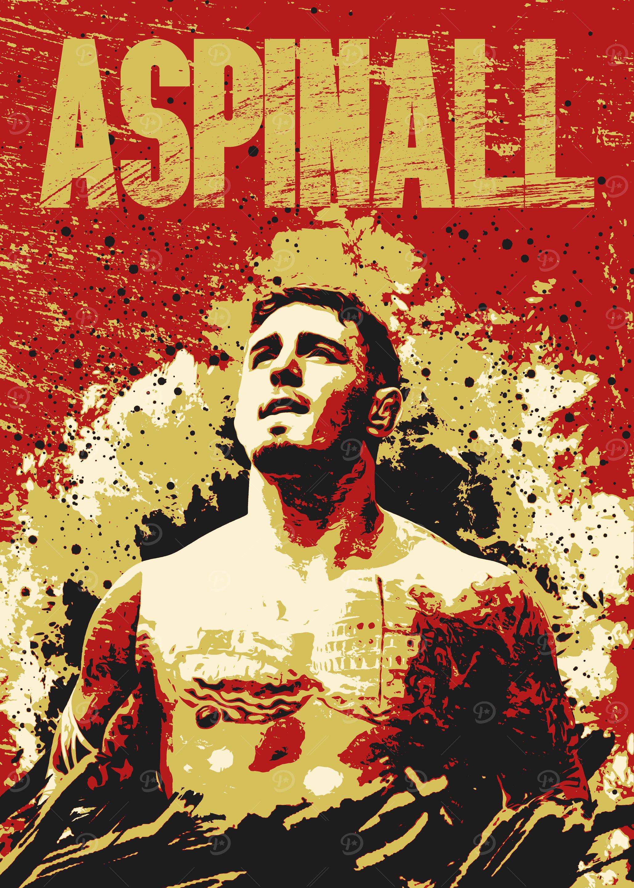 Tom Aspinall MMA Poster' Poster, picture, metal print, paint by