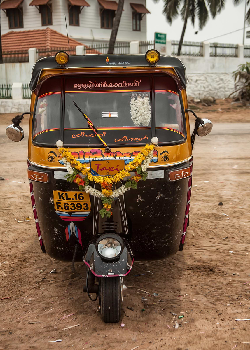 'Indian Auto Rickshaw' Poster, picture, metal print, paint by Karl ...
