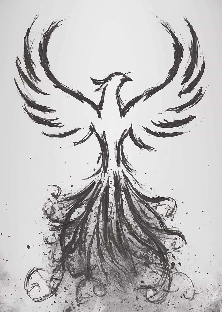 Phoenix Drawing Complex 'Phoenix Ink Drawing' Poster, picture, metal print, paint by ...