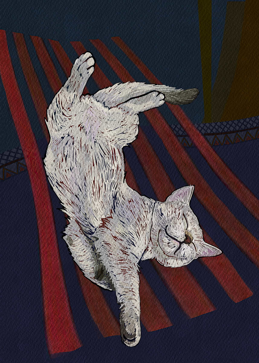 'Dreamland Acrobat: Sleep Like You Mean It' Poster, picture, metal ...