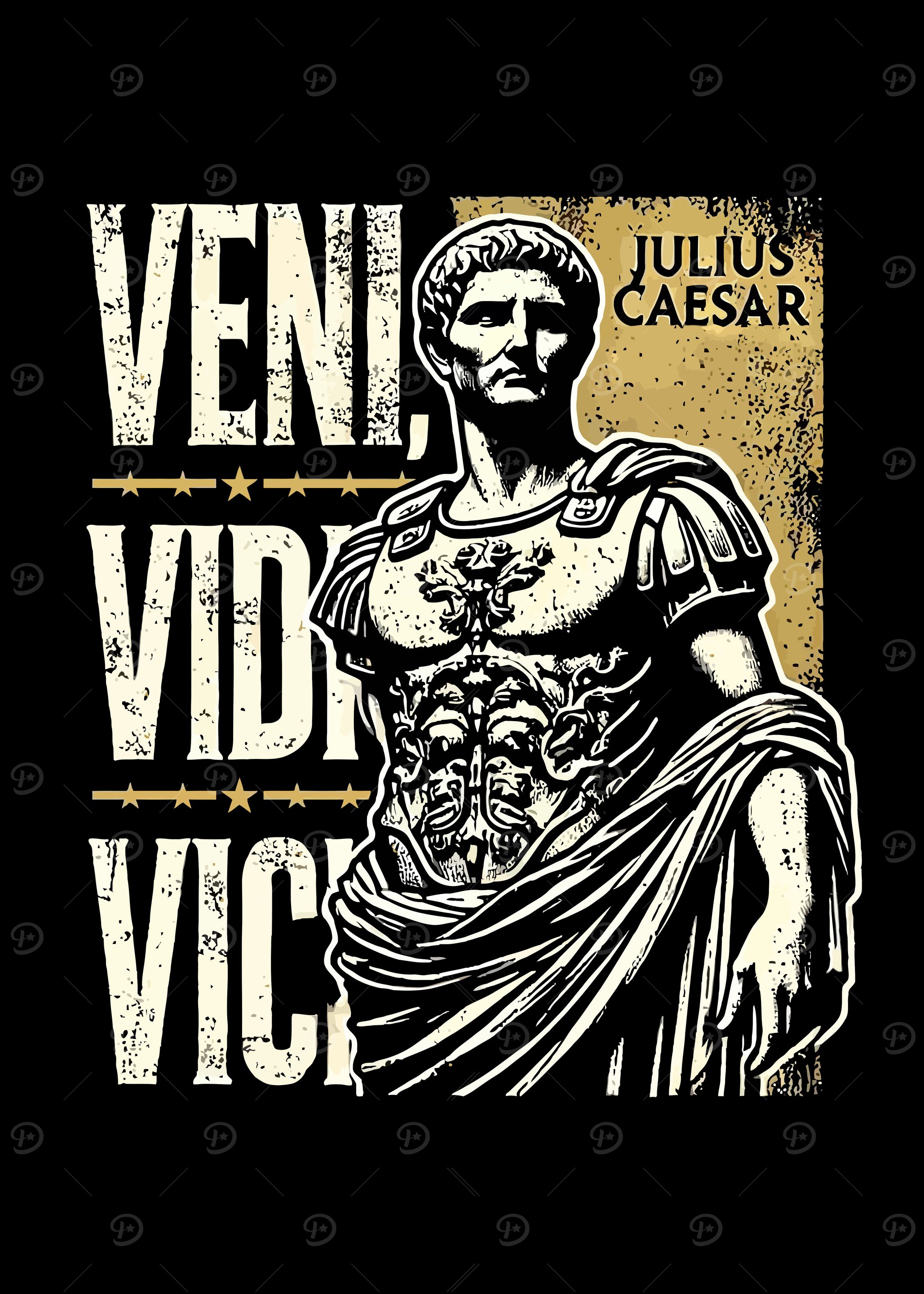 Veni, Vidi, Vici - Julius Caesar' Poster, picture, metal print