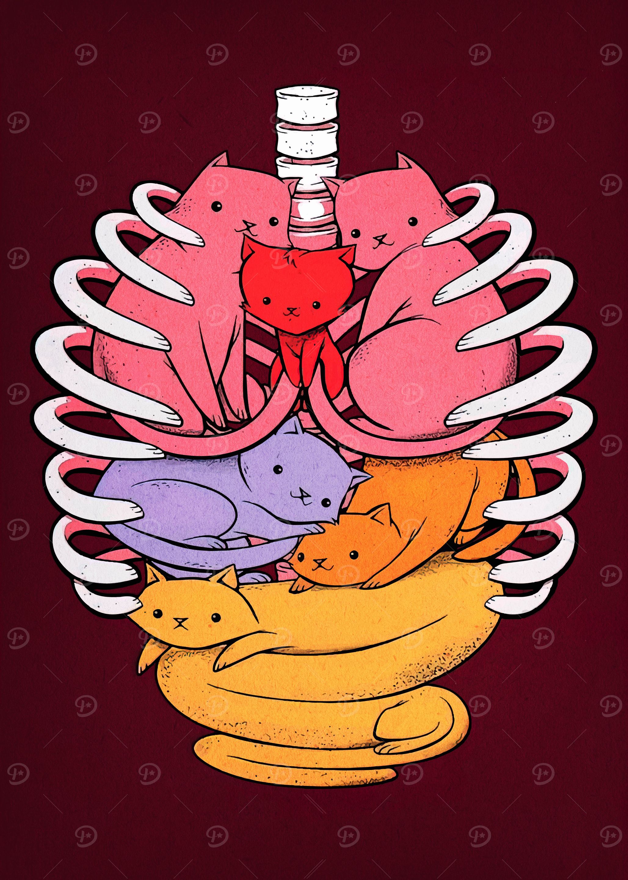 'Anatomical Cat Ribcage Illustration' Poster, picture, metal print ...