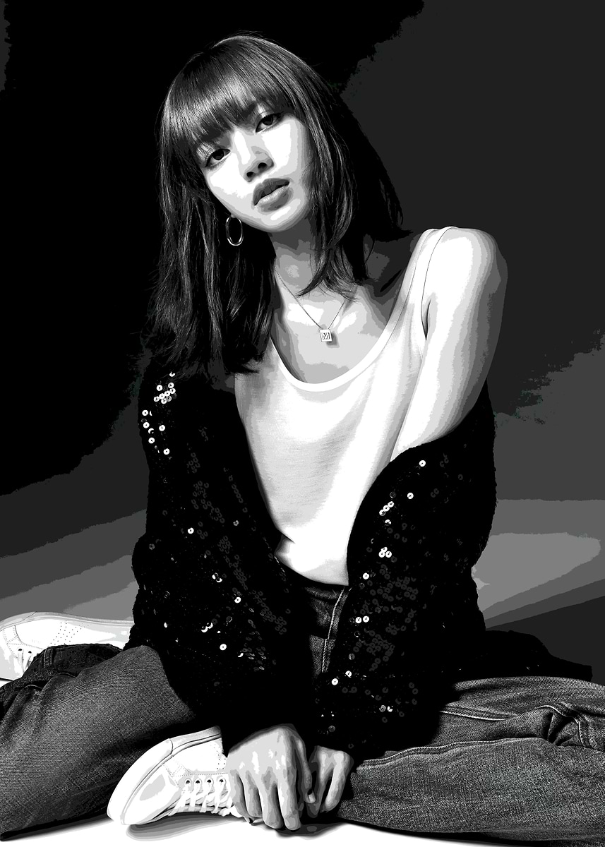 'Lisa from Blackpink in monochrome' Poster, picture, metal print, paint ...