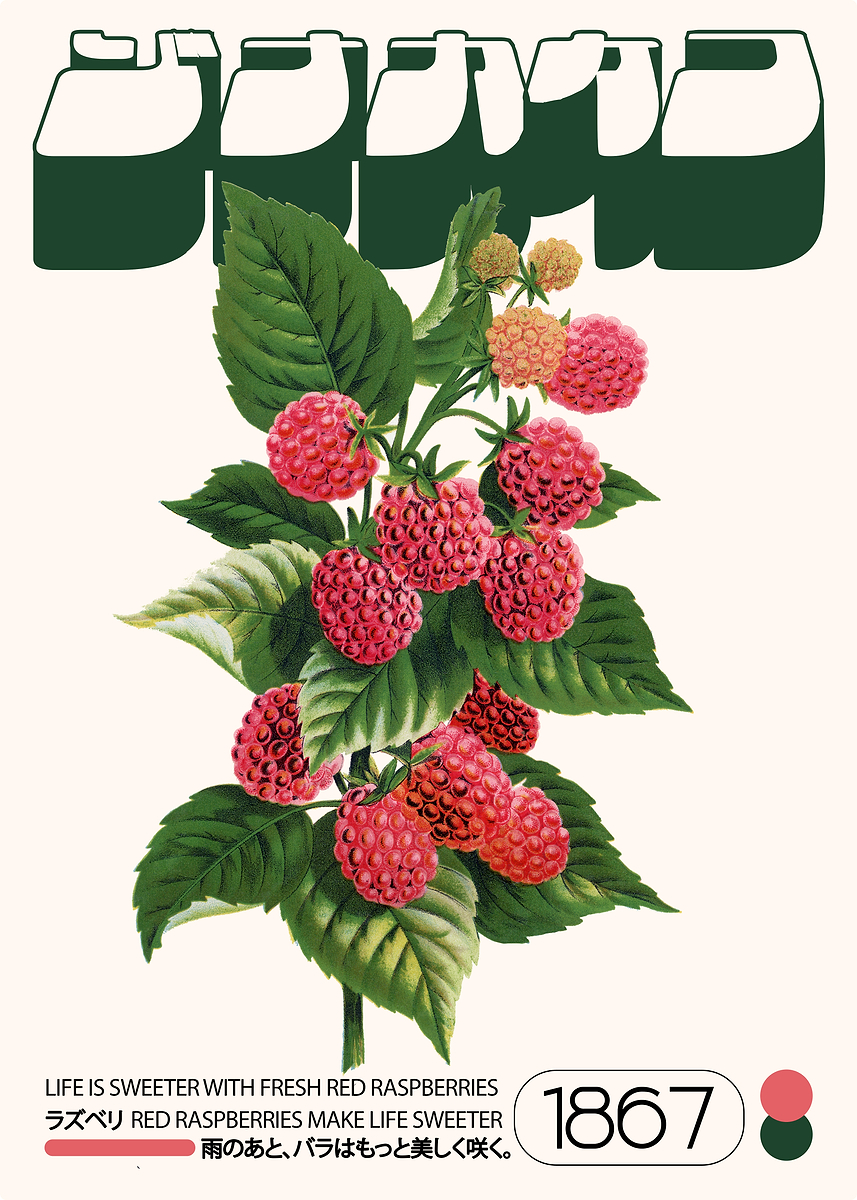 'Raspberry Botanical' Poster, picture, metal print, paint by Ometric ...